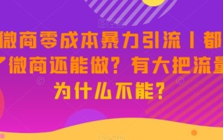 新·微商零成本暴力引流丨都2023了微商还能做？有大把流量，为什么不能？