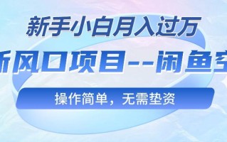 最新风口项目—闲鱼空调，新手小白月入过万，操作简单，无需垫资