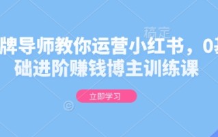 金牌导师教你运营小红书，0基础进阶赚钱博主训练课