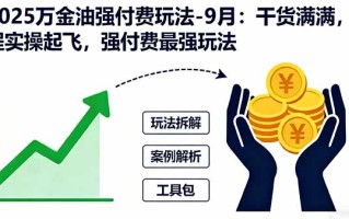 2025万金油强付费玩法-9月：干货满满，全程实操起飞，强付费最强玩法