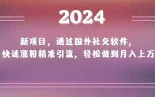 2024新项目，通过国外社交软件，快速涨粉精准引流，轻松做到月入上万【揭秘】