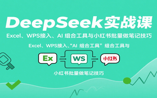 DeepSeek实战课：Excel、WPS接入、AI 组合工具与小红书批量做笔记技巧