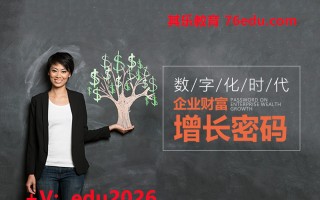 数字化时代企业财富增长密码（4集） mp4高清无水印视频教程网盘免费下载