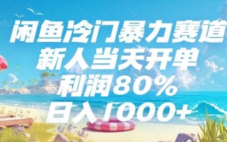 闲鱼冷门暴力赛道，新人当天开单，利润80%，日入1000+