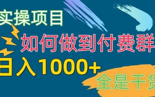 [实操项目]付费群赛道，日入1000+