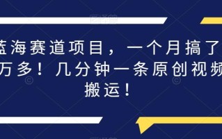 蓝海赛道项目，一个月搞了1万多！几分钟一条原创视频搬运！