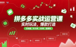 拼多多实战运营课，实时玩法，爆款打造，改销量，补大单，AB单，直播等(更新2025月)