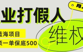 职业打假人电商维权揭秘，一单保底500，全新冷门暴利项目【仅揭秘】