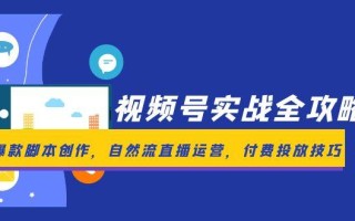 视频号实战全攻略，爆款脚本创作，自然流直播运营，付费投放技巧
