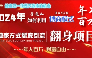 2024年普通人如何利用博商模式做翻身项目年入百万，财富自由