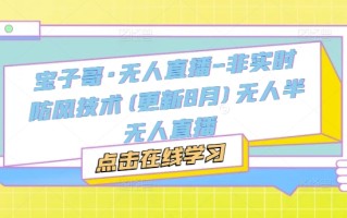 宝子哥·无人直播-非实时防风技术(更新8月)无人半无人直播