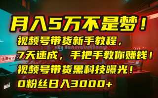 月入5万不是梦！视频号带货新手教程，7天速成，手把手教你赚钱！视频号…