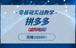 拼多多虚拟电商，零基础实战教学，快速打爆商品，新手也能月入10000+