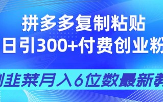 拼多多复制粘贴日引300+付费创业粉，割韭菜月入6位数最新教程！
