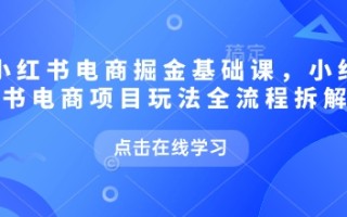 小红书电商掘金课，小红书电商项目玩法全流程拆解(更新5月)