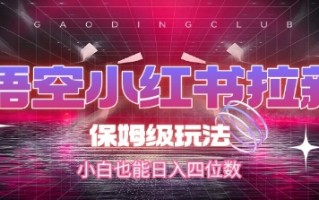 悟空小红书拉新，保姆级玩法，小白也能日入四位数