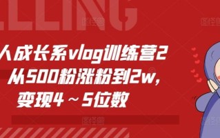 个人成长系vlog训练营2期，从500粉涨粉到2w，变现4～5位数