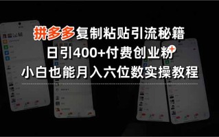 拼多多复制粘贴引流秘籍，日引400+付费创业粉，小白也能月入六位数实操…