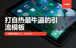 打自热最牛逼的引流模板，二剪搬运嗖嗖上人，日引300+