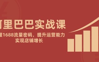 阿里巴巴实战课：掌握1688流量密码，提升运营能力，实现店铺增长
