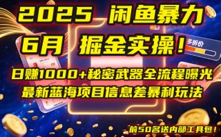 2025闲鱼暴力掘金实操！日赚1000+秘密武器全流程曝光，最新蓝海项目信…