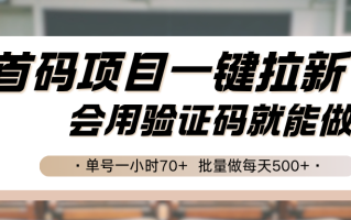 首码项目一键拉新，会用验证码就能做 单号一小时70+，批量做每天500+