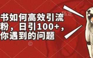 小红书如何高效引流创业粉，日引100+，解决你遇到的问题【揭秘】