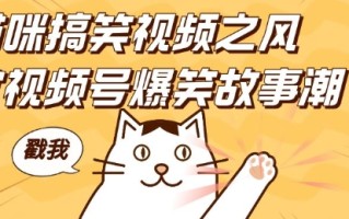 借猫咪搞笑视频之风，掀视频号爆笑故事潮，轻松日入四位数，无门槛快速入门!