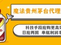 魔法贵州茅台代理项目，科技手段抢购更高效，日抢两回单瓶利润丰厚，回…