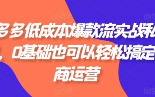 拼多多低成本爆款流实战私教课，0基础也可以轻松搞定电商运营