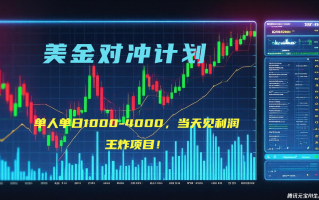 2025年最暴力项目“美金先登计划”最新最强对冲战法，每日实际收益1K-4K