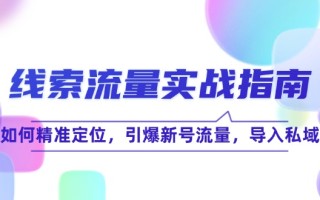 线 索 流 量-实战指南：如何精准定位，引爆新号流量，导入私域