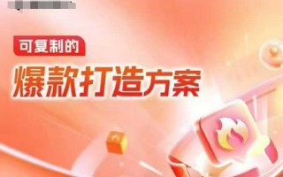 天猫电商爆款运营，可复制的爆款打造方案(线下内训课录音+字幕)