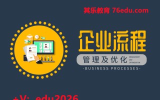 企业流程管理及优化（5集） mp4高清无水印视频教程网盘免费下载