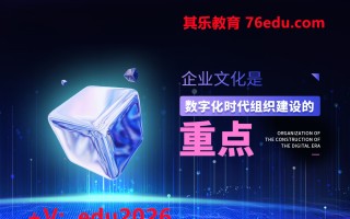 企业文化是数字化时代组织建设的重点（2集） mp4高清无水印视频教程网盘免费下载