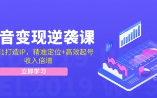 抖音变现逆袭课：从0到1打造IP，精准定位+高效起号，收入倍增