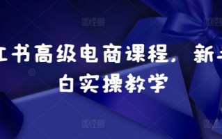 小红书高级电商课程，新手小白实操教学