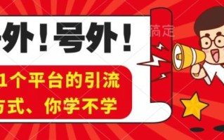 实操11个热门平台引流方法、私域教程看完不走弯路！