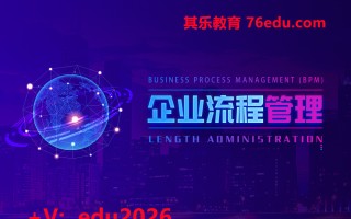 企业的流程管理（3集） mp4高清无水印视频教程网盘免费下载