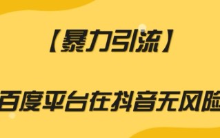 【暴力引流】利用百度平台在抖音无风险引流【揭秘】
