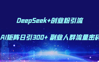DeepSeek+创业粉引流 AI矩阵日引300+ 副业人群流量密码