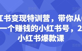 小红书变现特训营，带你从0到1做一个赚钱的小红书号，24堂小红书爆款课