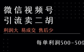 视频号卖二胡教程，利润大 易成交 售后少，一单利润5张+