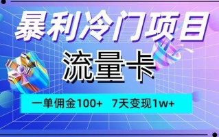 暴利冷门项目，流量卡，一单佣金100+，7天变现1w+
