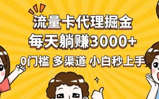 流量卡代理掘金，0门槛，每天躺赚3000+，多种推广渠道，新手小白轻松上手