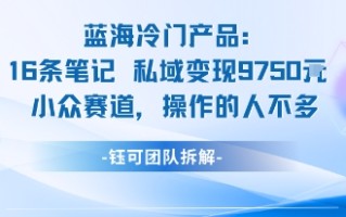 蓝海项目：16条笔记私域变现9750米小众赛道操作的人不多