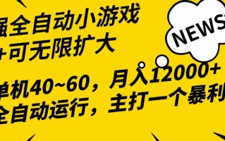 (10046期)2024最新全网独家小游戏全自动，单机40~60,稳定躺赚，小白都能月入过万