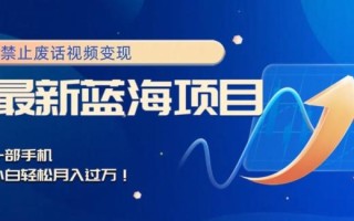 最新蓝海项目，靠禁止废话视频变现，一部手机，小白轻松月入过万！