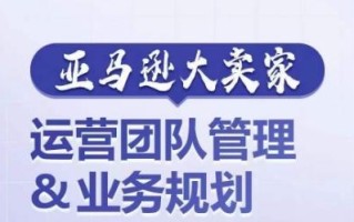 亚马逊大卖家-运营团队管理&业务规划，为你揭秘如何打造超强实力的运营团队