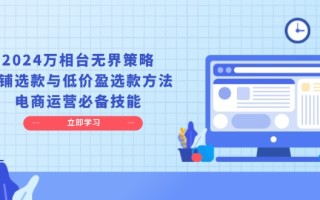 2024万相台无界策略，店铺选款与低价盈选款方法，电商运营必备技能